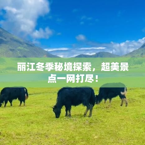 權(quán)貴顯要 第2頁(yè)