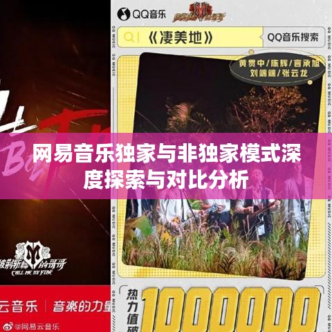 網(wǎng)易音樂獨家與非獨家模式深度探索與對比分析