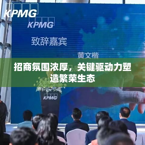 招商氛圍濃厚，關(guān)鍵驅(qū)動力塑造繁榮生態(tài)
