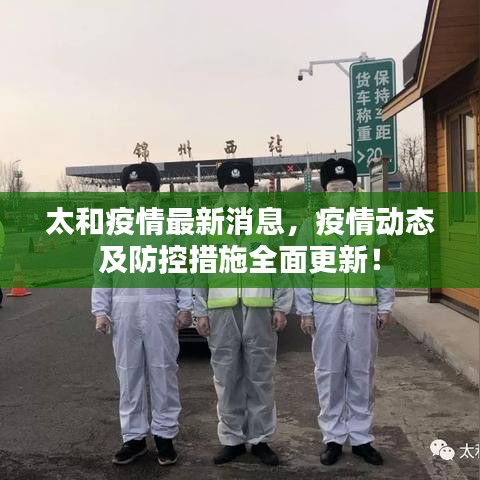 太和疫情最新消息，疫情動態(tài)及防控措施全面更新！