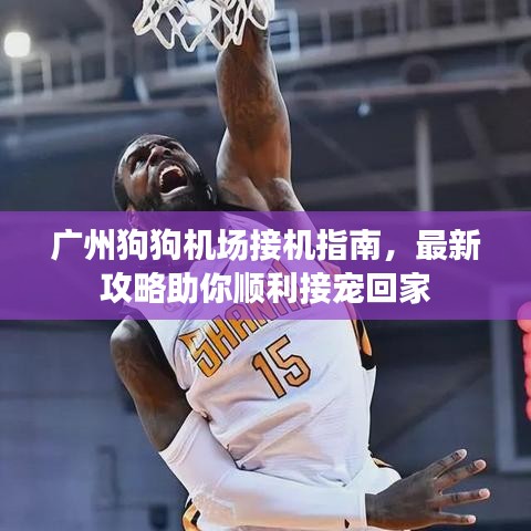 廣州狗狗機(jī)場(chǎng)接機(jī)指南，最新攻略助你順利接寵回家