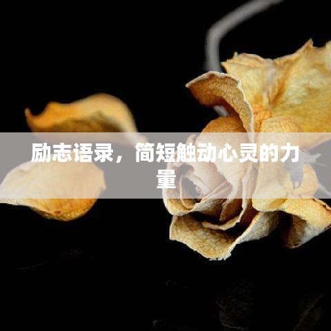 勵(lì)志語(yǔ)錄，簡(jiǎn)短觸動(dòng)心靈的力量