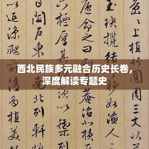 西北民族多元融合歷史長(zhǎng)卷，深度解讀專題史