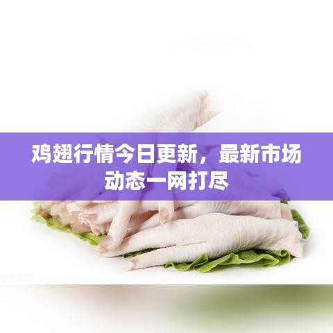 雞翅行情今日更新，最新市場動態(tài)一網打盡