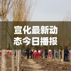 宣化最新動(dòng)態(tài)今日播報(bào)