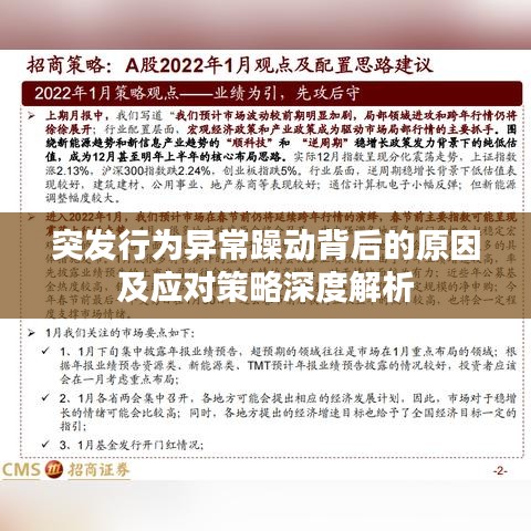突發(fā)行為異常躁動(dòng)背后的原因及應(yīng)對策略深度解析