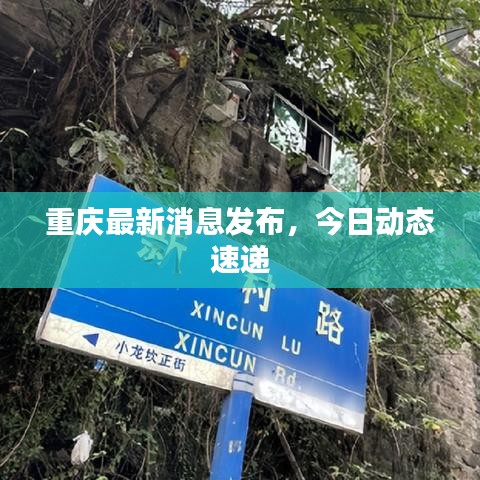 重慶最新消息發(fā)布，今日動(dòng)態(tài)速遞