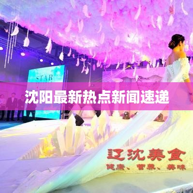 沈陽最新熱點新聞速遞