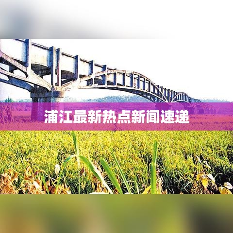 浦江最新熱點(diǎn)新聞速遞