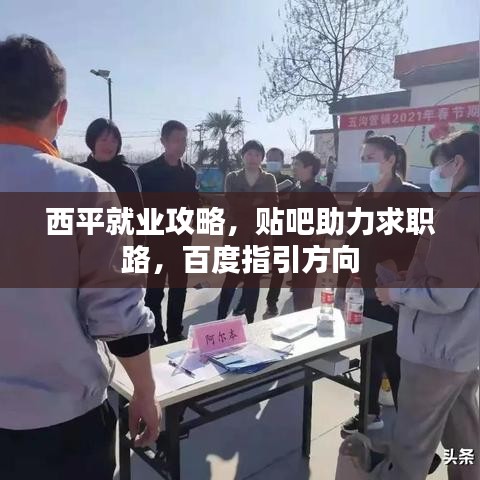 西平就業(yè)攻略，貼吧助力求職路，百度指引方向