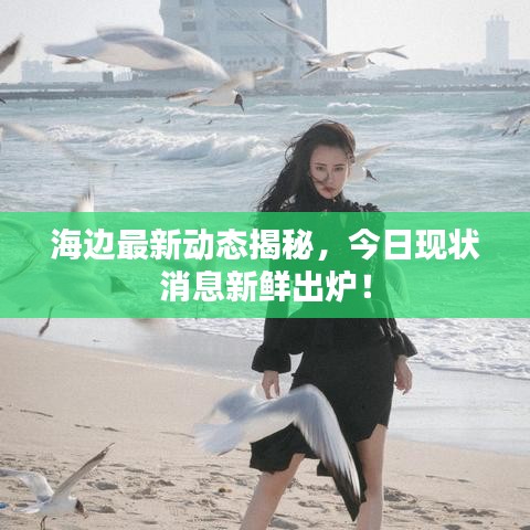 海邊最新動(dòng)態(tài)揭秘，今日現(xiàn)狀消息新鮮出爐！