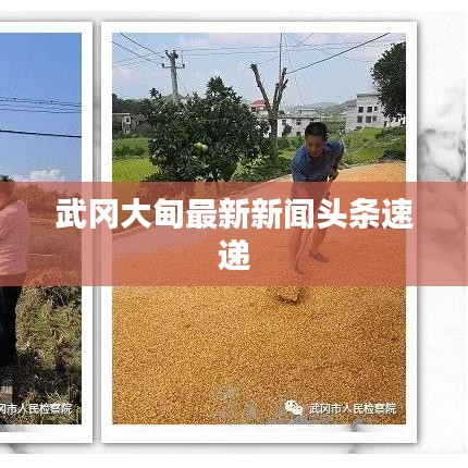 急就章 第2頁