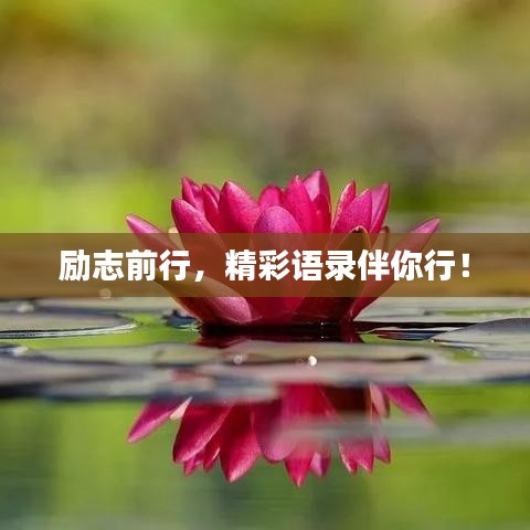 勵(lì)志前行，精彩語(yǔ)錄伴你行！