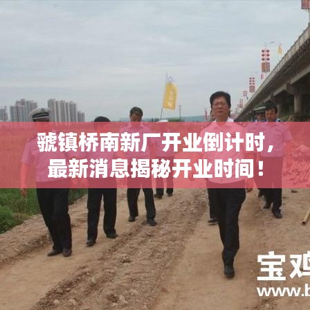 虢鎮(zhèn)橋南新廠開業(yè)倒計時，最新消息揭秘開業(yè)時間！