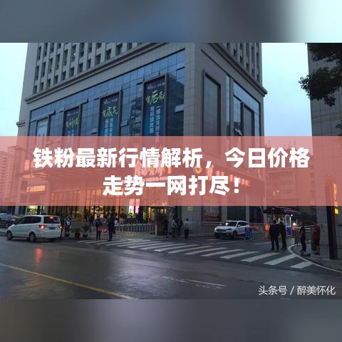 鐵粉最新行情解析，今日價(jià)格走勢(shì)一網(wǎng)打盡！
