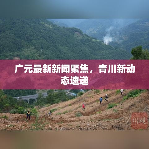 廣元最新新聞聚焦，青川新動態(tài)速遞