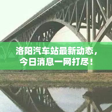 洛陽汽車站最新動態(tài)，今日消息一網(wǎng)打盡！