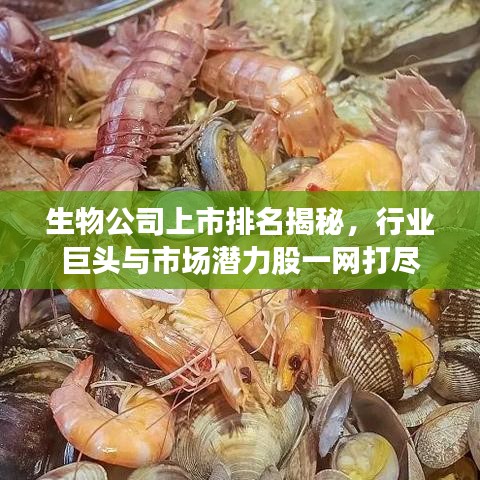 生物公司上市排名揭秘，行業(yè)巨頭與市場潛力股一網(wǎng)打盡