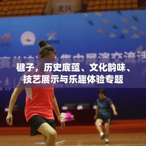 毽子，歷史底蘊(yùn)、文化韻味、技藝展示與樂趣體驗(yàn)專題