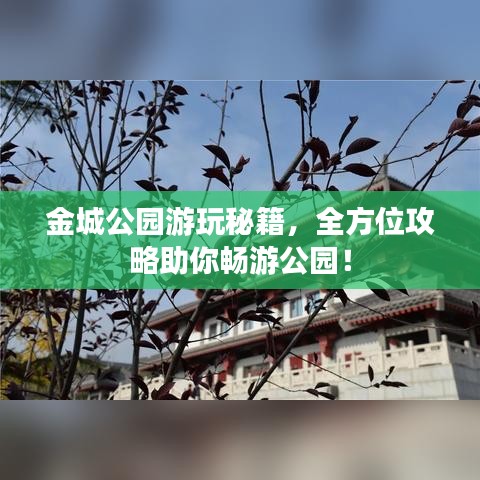 金城公園游玩秘籍，全方位攻略助你暢游公園！