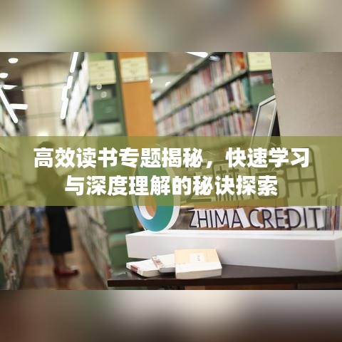 高效讀書專題揭秘，快速學(xué)習(xí)與深度理解的秘訣探索
