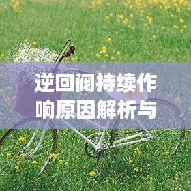 逆回閥持續(xù)作響原因解析與解決方案探討