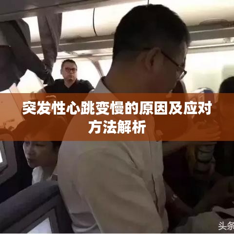 突發(fā)性心跳變慢的原因及應(yīng)對(duì)方法解析