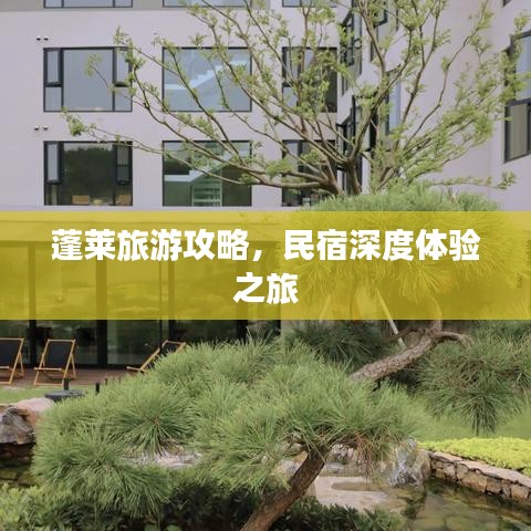 蓬萊旅游攻略，民宿深度體驗(yàn)之旅