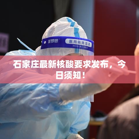 石家莊最新核酸要求發(fā)布，今日須知！
