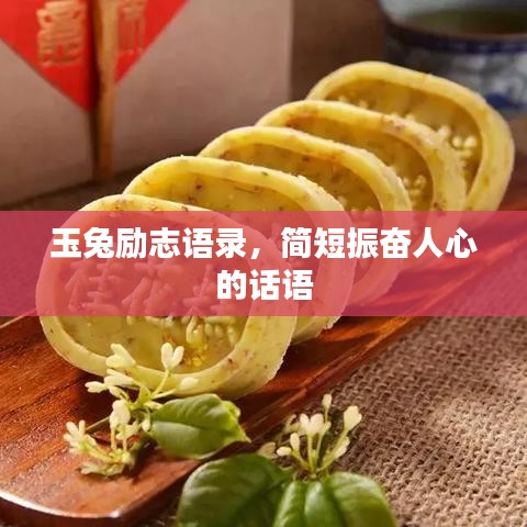玉兔勵志語錄，簡短振奮人心的話語