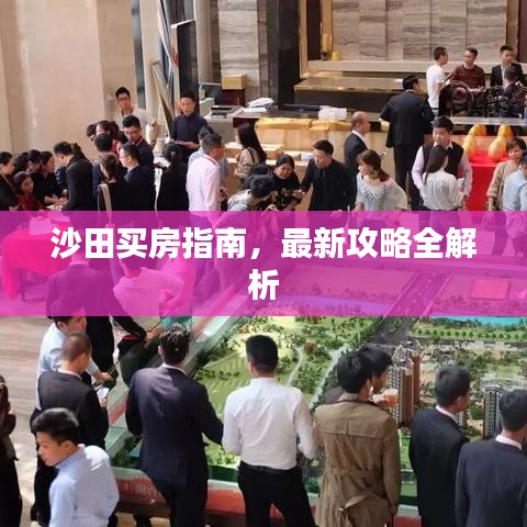 沙田買房指南，最新攻略全解析