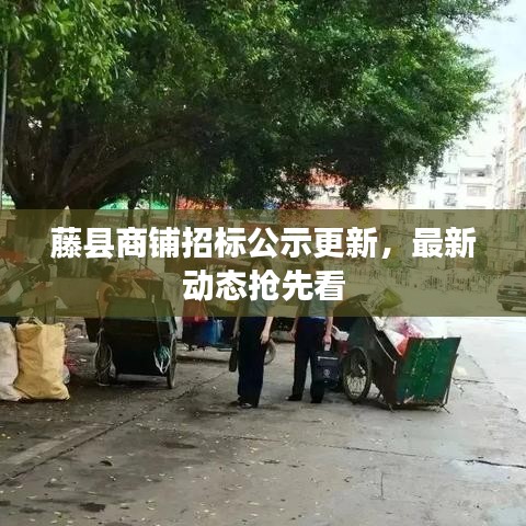 藤縣商鋪招標(biāo)公示更新，最新動態(tài)搶先看