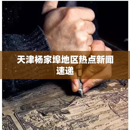 天津楊家埠地區(qū)熱點(diǎn)新聞速遞