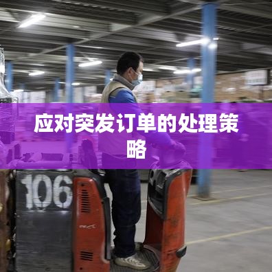 應(yīng)對(duì)突發(fā)訂單的處理策略