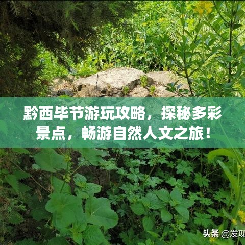 黔西畢節(jié)游玩攻略，探秘多彩景點，暢游自然人文之旅！