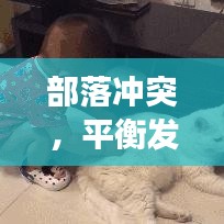 產(chǎn)品中心 第13頁