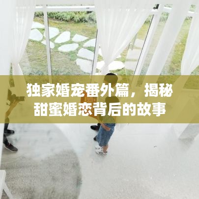 獨(dú)家婚寵番外篇，揭秘甜蜜婚戀背后的故事