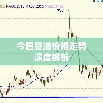 今日豆油價格走勢深度解析