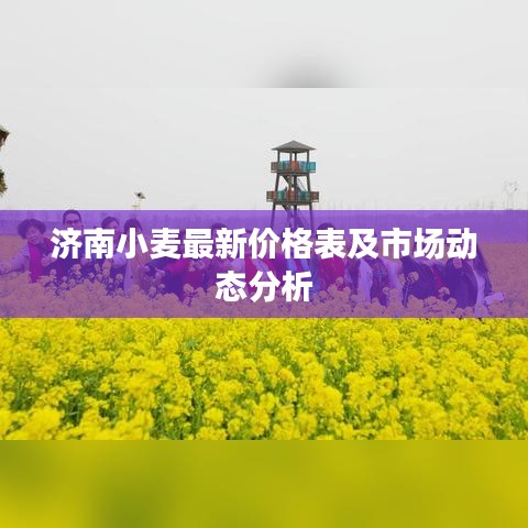 濟南小麥最新價格表及市場動態(tài)分析
