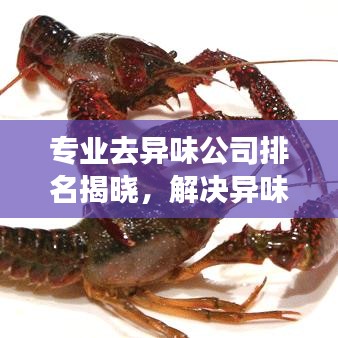 專業(yè)去異味公司排名揭曉，解決異味問題的行業(yè)佼佼者