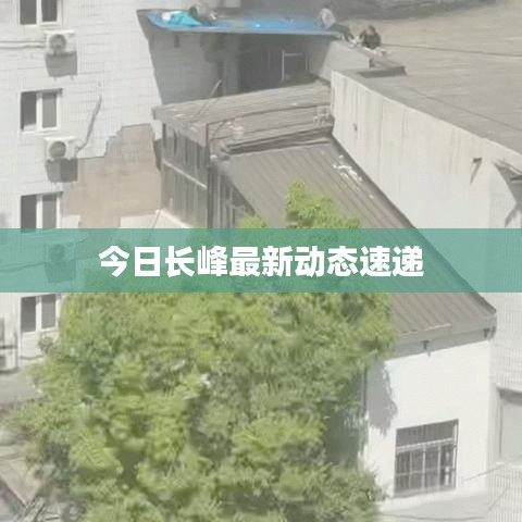 今日長峰最新動(dòng)態(tài)速遞