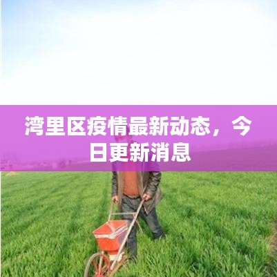 灣里區(qū)疫情最新動(dòng)態(tài)，今日更新消息