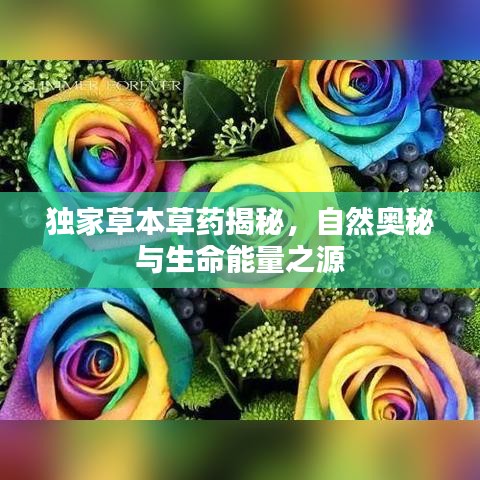 獨家草本草藥揭秘，自然奧秘與生命能量之源