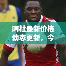 阿杜最新價格動態(tài)更新，今日行情一覽