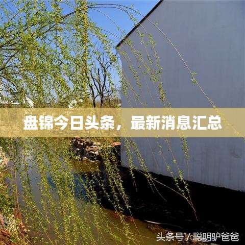 盤錦今日頭條，最新消息匯總