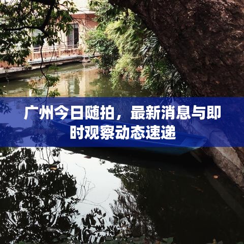 廣州今日隨拍，最新消息與即時(shí)觀察動(dòng)態(tài)速遞