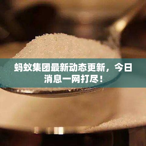 釵荊裙布