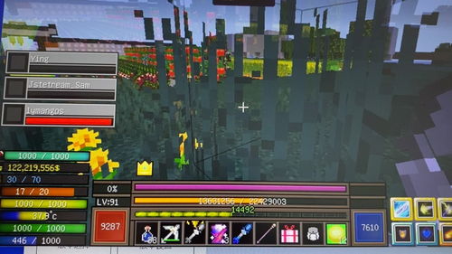 關于我的世界最好的版本，經濟執(zhí)行方案分析_Holo_v3.741的核心功能清單